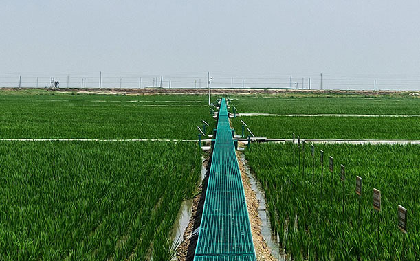 ʩнͻȼ(j)օ^(q)g༰ɢ֪R(sh)c(din)