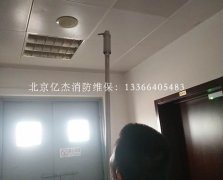 ������(sh��)��(j��)���������S��